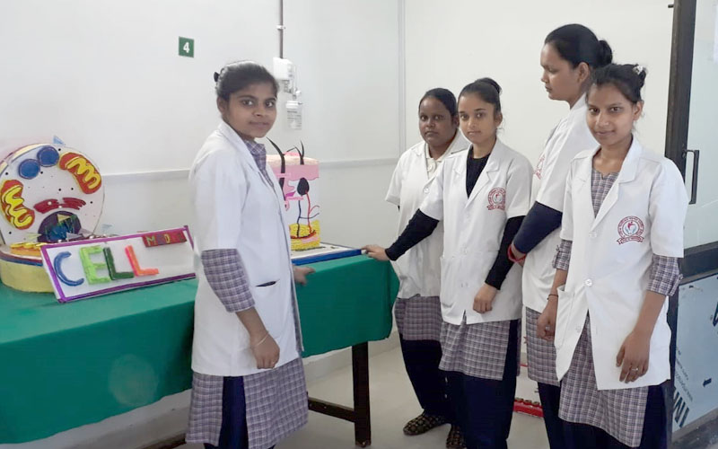 gallery